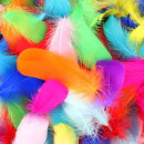 Colored Feathers