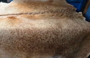 Genuine Hair-On Leather