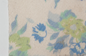 Printed Canvas Fabric